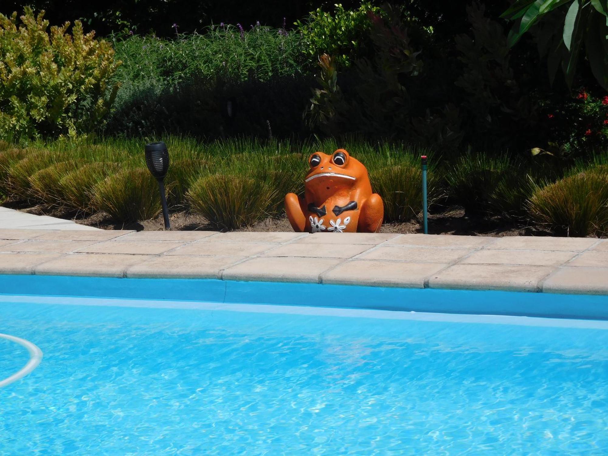 Garden- Pool Flat With Solar Electricity Somerset West Bagian luar foto